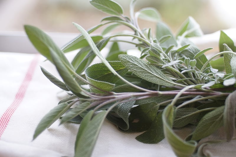 Herb Planters